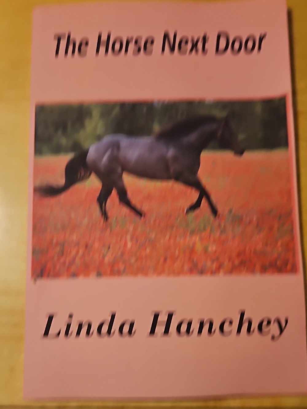 Linda Hanchey The Horse Next Door Horse Book Pink & Black